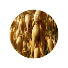 Charger l'image dans la galerie, Farine d'avoine - BIO - SANS GLUTEN (500g)