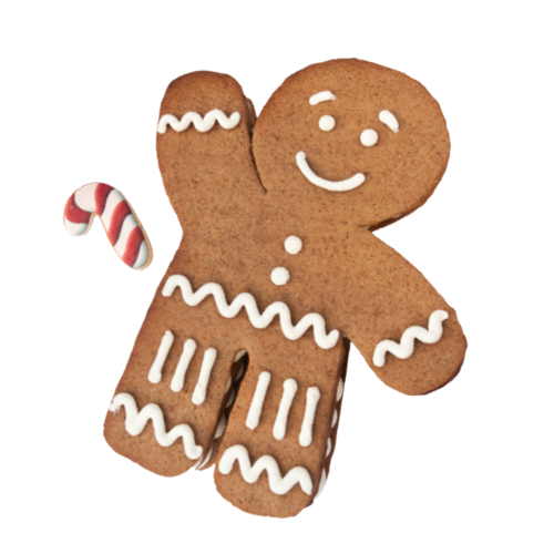 Formation en Ligne : Gâteau P'tit biscuit